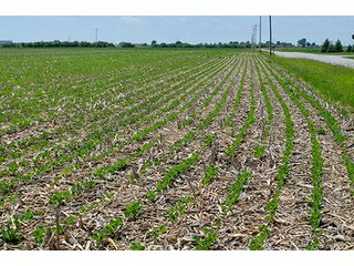 Property photo 34 - LAND AUCTION - 700+/- ACRES OFFERED IN 16 TRACTS IN ALLEN COUNTY, INDIANA